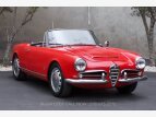 Thumbnail Photo 49 for 1965 Alfa Romeo Giulia
